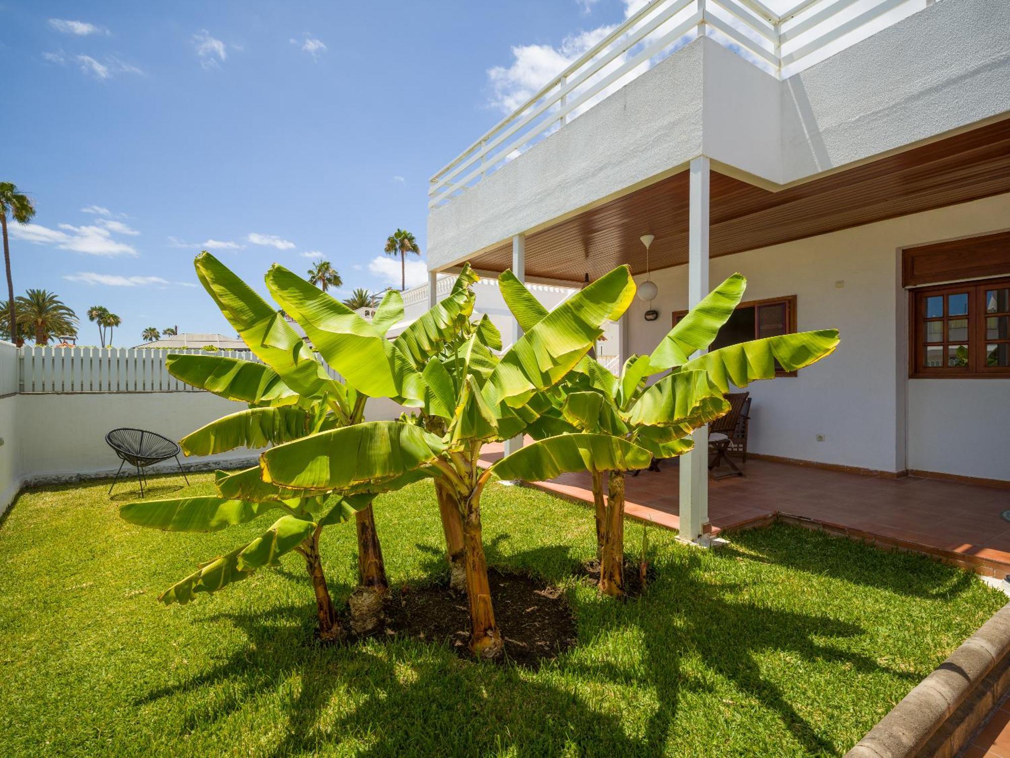 Banana House In Top Location By Tenpropertiesgc Maspalomas (Gran Canaria) Exterior foto
